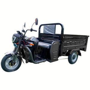 Electric Three Wheel